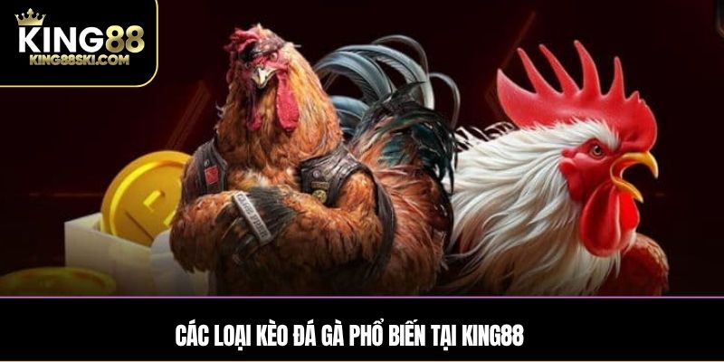 Khám phá các hình thức cá cược Đá Gà King88