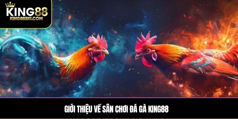 Giới thiệu về sân chơi Đá Gà King88