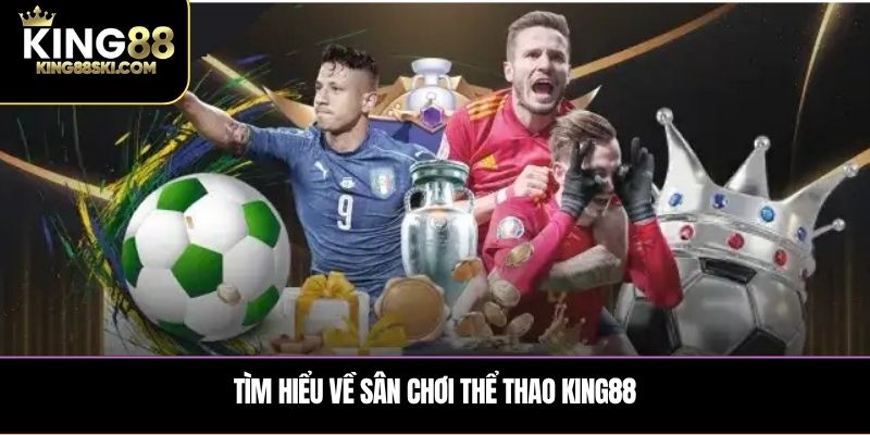 Tìm hiểu về sân chơi thể thao King88